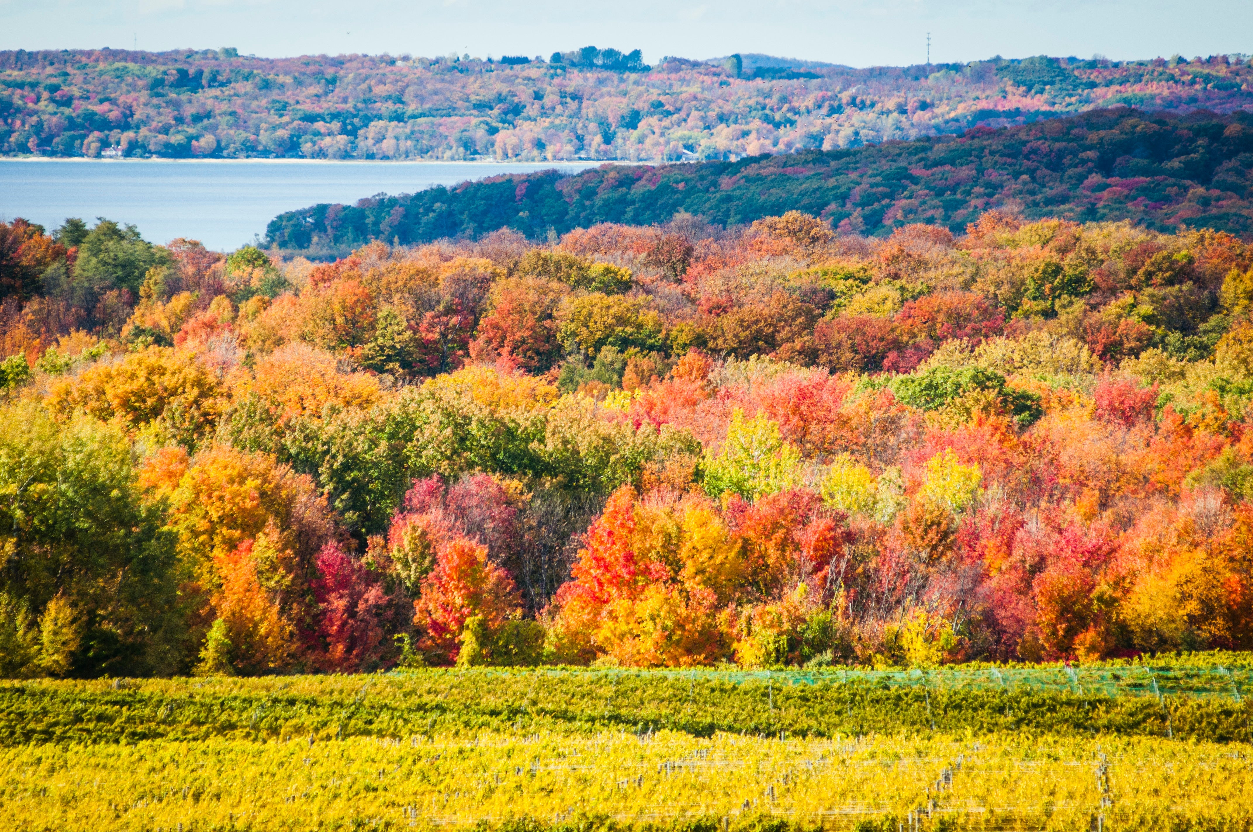 Fall Designs