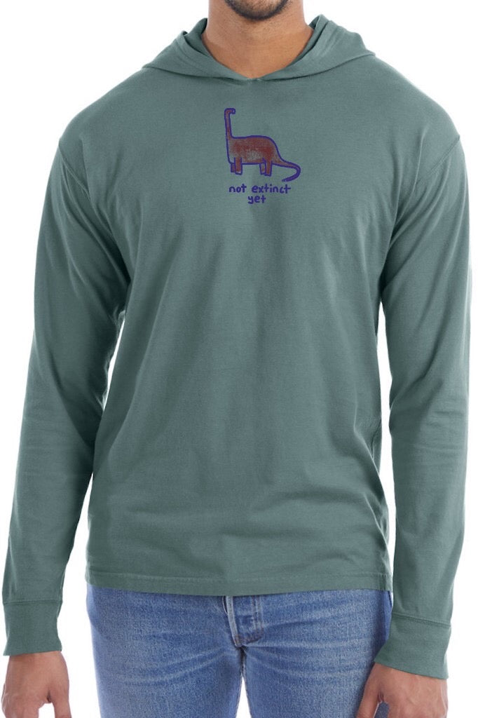 Long Sleeve Hooded T-shirts – Roth Shirt Co.